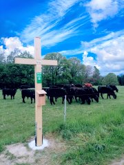 Gipfelkreuz am Jägerberg - Bild